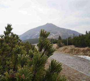 Berg Schneekoppe/Śnieżka