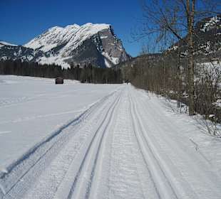 Blick Richtung Kanisfluh