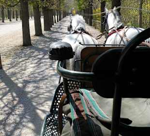 Kutschfahrt durch Schönbrunn
