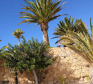 Strandwandern Costa Calma