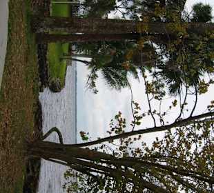  Edison Ford Winterestates