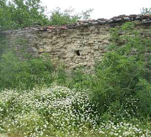 Ausflug Green Canyon