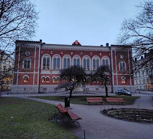 Sport & Freizeit