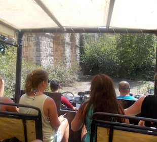 Fahrt durch den fluss