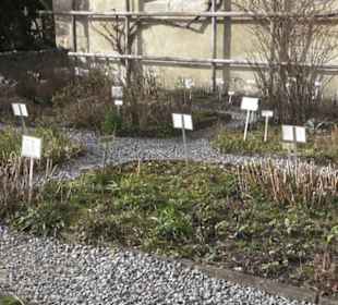 Gewürz- und Kräutergarten