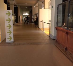 Museum für Naturkunde