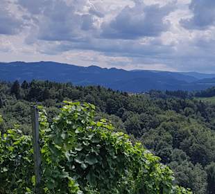 Südsteirische Weinstrasse