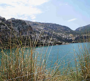 Serra de Tramuntana