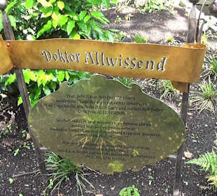 Themenbereich Märchenwald