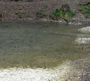 Wandertour durchs Reissenbachtal Oberhausen