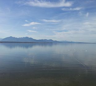 Der Chiemsee