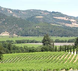 Toller Ausblick über einen Teil des Napa Valley