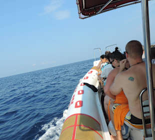 Ausflug Kotor Speedboot