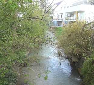 Fluss Breitenbach