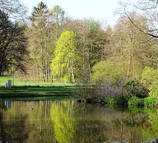 Impressionen vom Spaziergang durch den Kurpark