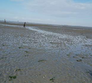 Wattwagenfahrt Insel Neuwerk