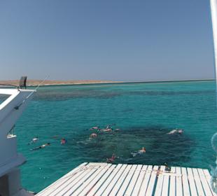 Blick auf Schnorchelriff