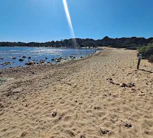 Ses Covetes in Sa Rapita