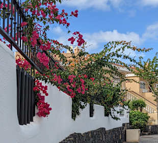 Stadtrundgang Puerto de Santiago