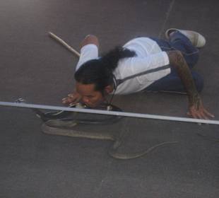 Kuss für die Schlange