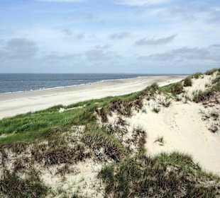 Strand beim Dünenübergang (Richtung Odde)