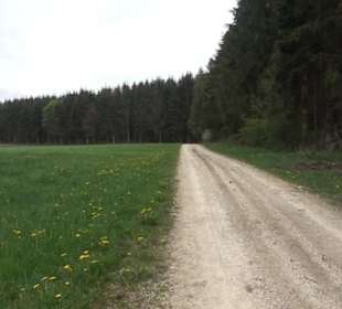 Wanderweg Kunst der kleinen Schritte