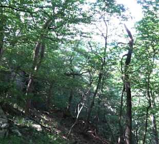 Premiumwanderweg "hochgelegen"