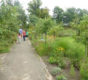 Sanddorn-Garten Petzow - Wnderweg