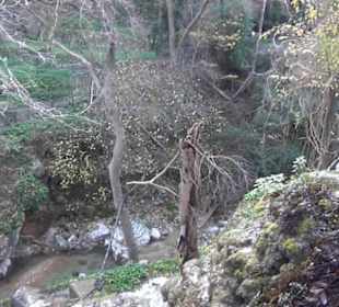 Aussenbereich - Bachlauf