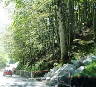 Hier ist Vorsicht geboten