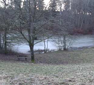 Wanderung rund um den Ochsenweiher