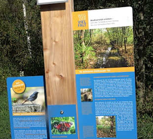 Baumlehrpfad Zollertal