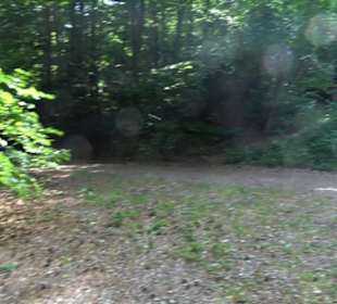 Kreuzweg zum Tannenrain