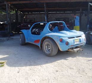 Fun Buggy