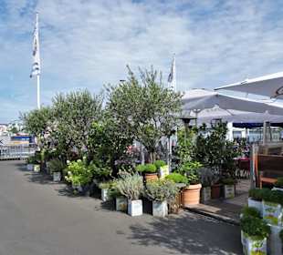 Spaziergang über die Rheinuferpromenade Düsseldorf