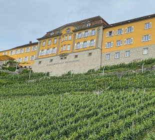 Staatsweingut Meersburg
