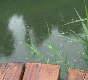 Fischlehrpfad Neu-Ulm