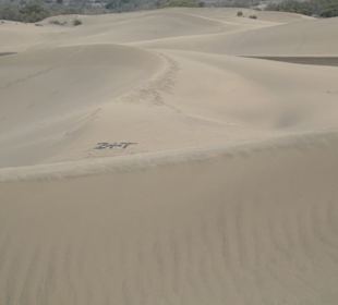 Dünen Maspalomas