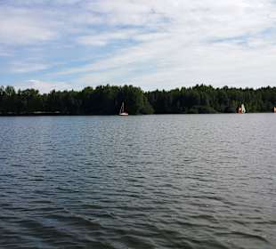 Mit dem Boot raus - Gegenüberliegendes Ufer
