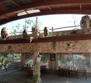 Platz für grössere Gruppen