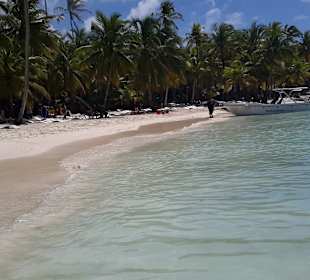 Isla Saona