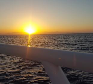 Ein toller Auslug geht zu Ende 