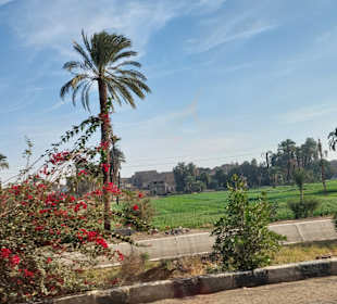 Fahrt zum Karnak Tempel