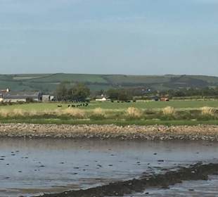 Blick auf den River Lee