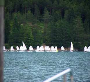 Segelregatta der Kleinen