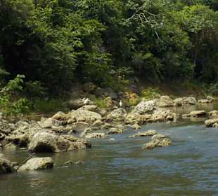 Bootsfahrt auf dem Yuma