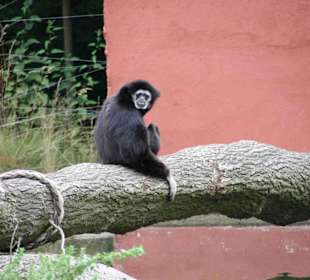 Serengeti Park Hodenhagen