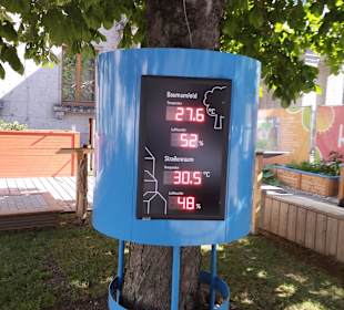 Klimawandel-Garten 