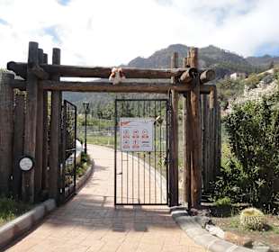 Tunte/San Bartolomé de Tirajana, Gran Canaria