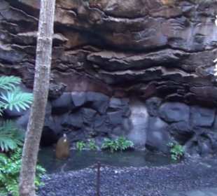 Fundacion Cesar Manrique